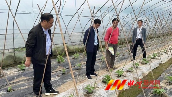 圖片3.jpg 圖片3.jpg