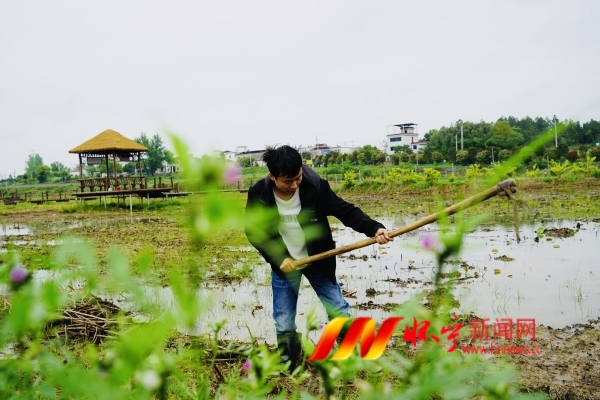 IMG_1260.JPG IMG_1260.JPG