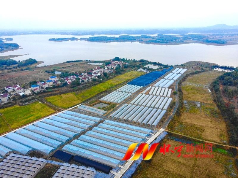 發(fā)展蔬菜產業(yè) 助力鄉(xiāng)村振興2.jpg