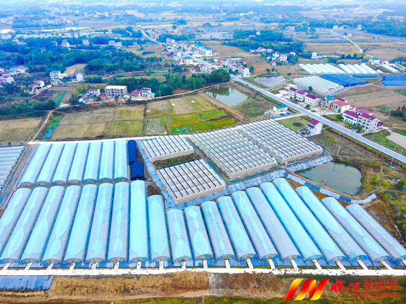 甜了舌尖 鼓了腰包2.jpg